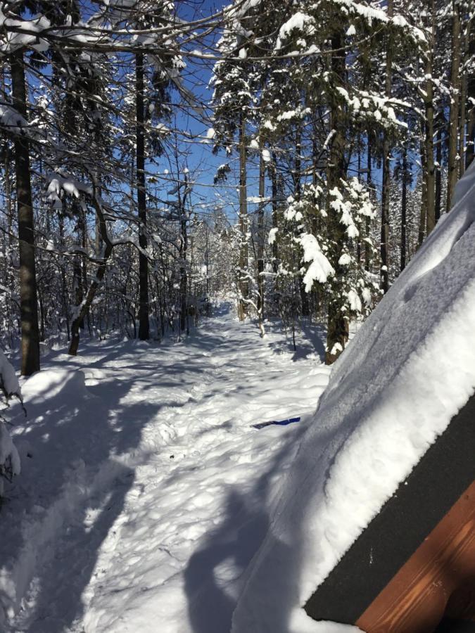 Chalubinskiego 41 - Loftaffair Zakopane Buitenkant foto